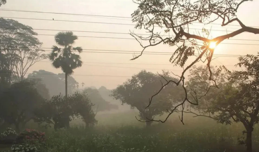 শিরোনাম